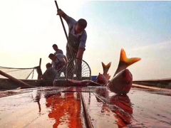 -美味之家·湖景农家乐(太湖东山店)