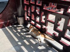 -采石矶景区