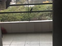 -成都大学-图书馆