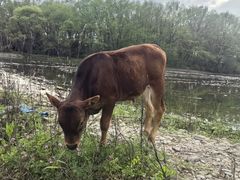 -西溪南古村落