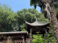 -团城山公园