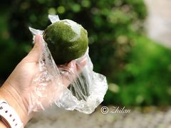 -仁昌顺(震泽店)
