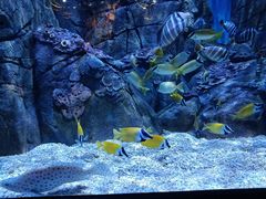 -成都浩海立方海洋公园