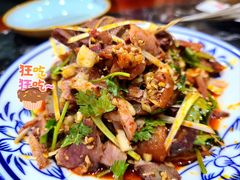 -后卫寨猫耳朵(后卫寨店)