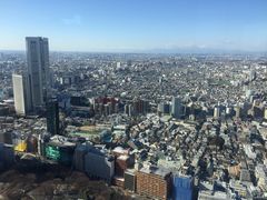 -东京都厅舍