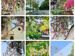 -深圳国际园林花卉博览园