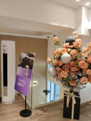 -海菲秀黑钻·SELF SKIN悦己·Tech SPA