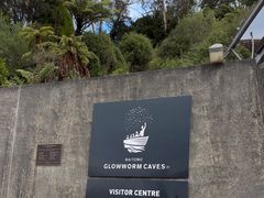 -怀托摩萤火虫洞