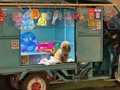 -文峰大世界(如皋店)