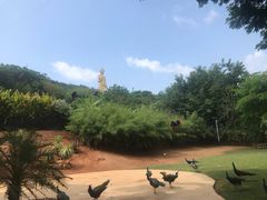 -西双版纳勐泐文化旅游区