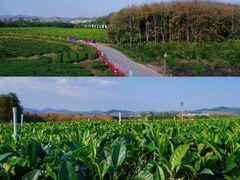 -白沙门生态公园