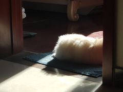 -Blueglass酸奶(财富购物中心店)