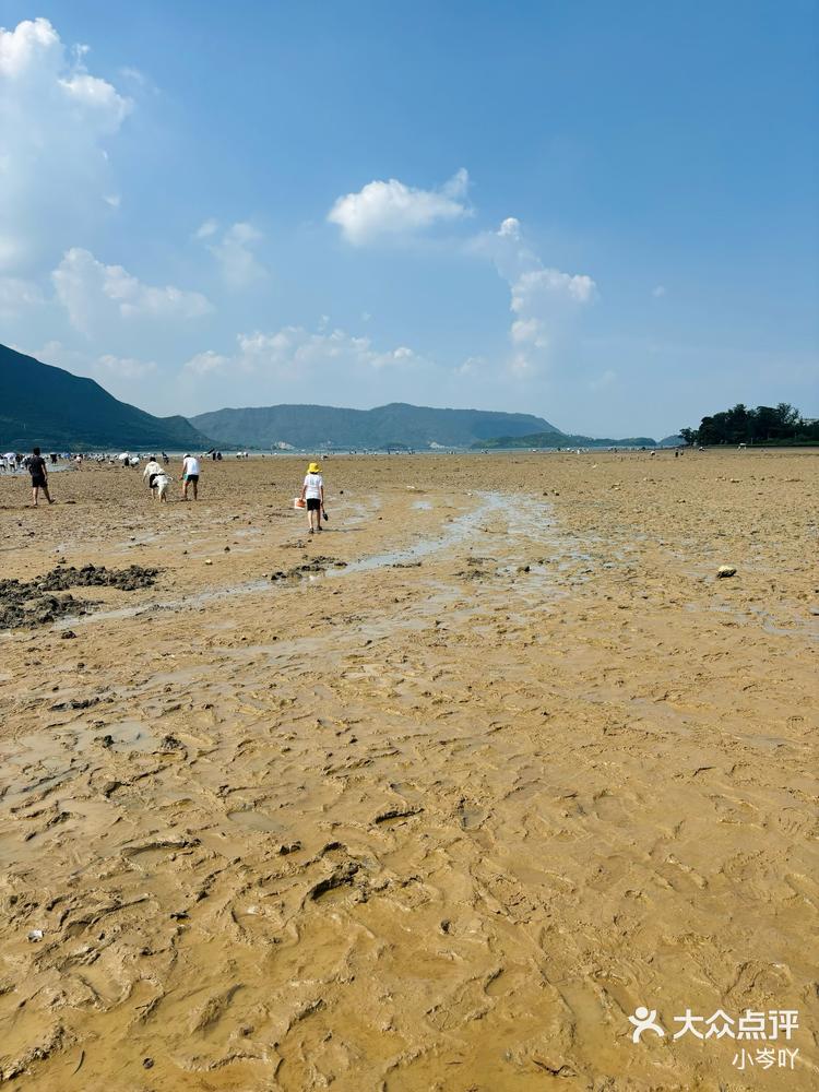 深圳周末去哪儿当然是去坝光沙滩赶海啦