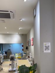 -洗脸猫·洗脸吧