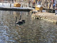 -水磨沟公园