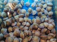 -佰园全日西餐厅-厦门佰翔软件园酒店