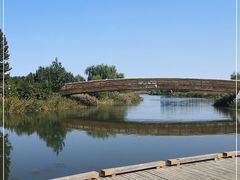 -马家湾湿地公园