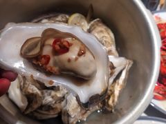 -杨氏青龙虾·羊蝎子(托乐嘉店)