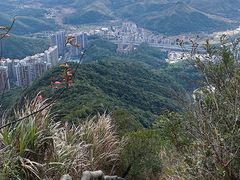 -梧桐山风景名胜区