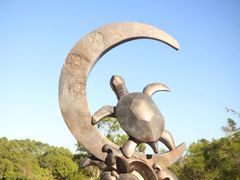 -广东惠东海龟国家级自然保护区