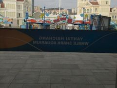 -烟台海昌鲸鲨海洋公园