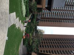 三亚湾红树林度假世界-三亚湾红树林度假世界(木棉酒店)