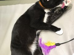 -小时光咖啡馆(开森度假森林店)