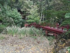 -紫霞湖公园
