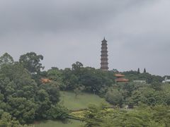 -广州莲花山旅游区