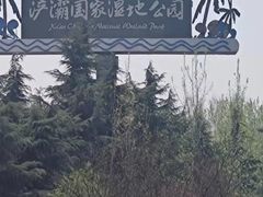 -西安浐灞国家湿地公园