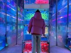 -青石桥花鸟鱼虫市场(叠翠城店)