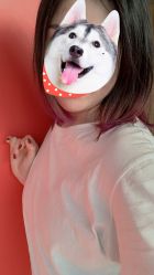 -飞梵造型