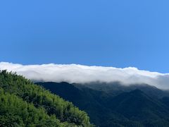 -大围山国家森林公园