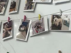 -瑞派康怡24h宠物医院·犬猫医疗中心·微创绝育(瑞景分院)