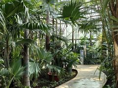 -国家植物园南园