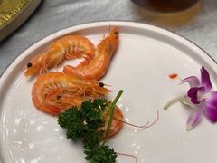 -唐猫庭院·千年陕菜(大唐不夜城店)