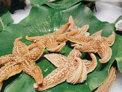 -川骄海鲜自助(河东店)