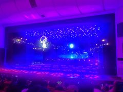 -南风大剧院莎梦二人转剧场