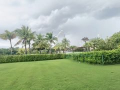 -亚特兰蒂斯-番红花海鲜自助餐厅·鲜活海鲜·小火锅