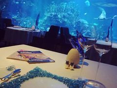 -迪拜帆船酒店海底餐厅