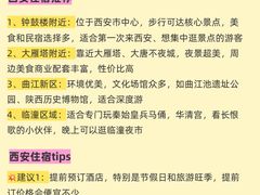 -大雁塔北广场音乐喷泉