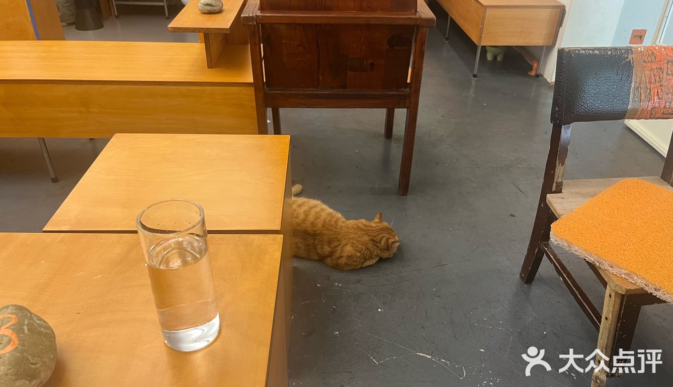 咖啡馆的惬意