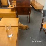 咖啡馆的惬意