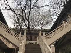 -国家图书馆·古籍馆