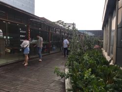 -梦田都市农场(银泰城店)
