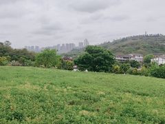 -张坝桂圆林公园