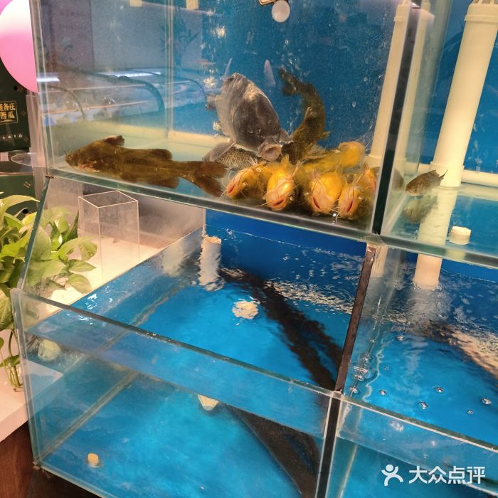 彭城味道.地道徐州味(怡海花园店)图片