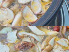 -蘑统田下·野生菌火锅