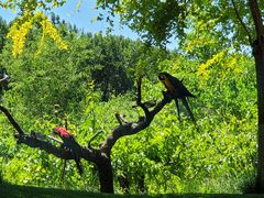 -北京野生动物园