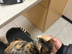 -瑞鹏宠物医院·超声·骨科·奇麟分院(蜀都万达店)